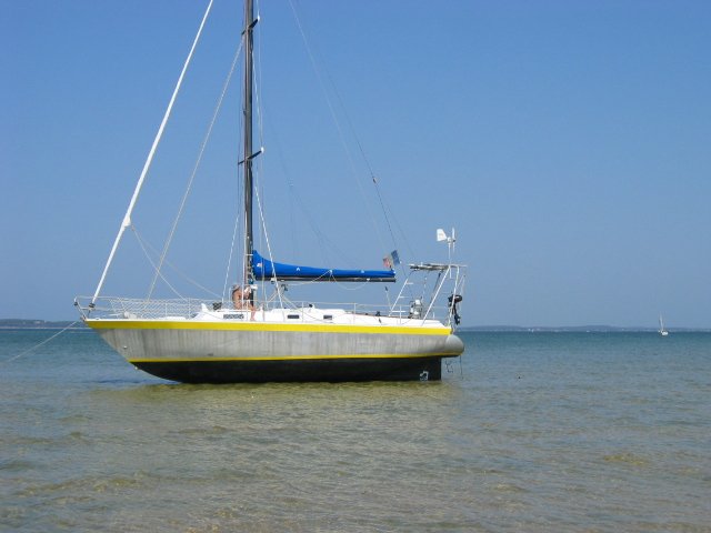 Obione